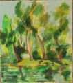 'I'Ile enchantée Fleury sur Orne (14) - Peintures Abstraites